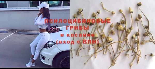 наркотики Горнозаводск