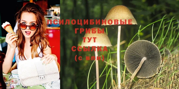 ECSTASY Горно-Алтайск