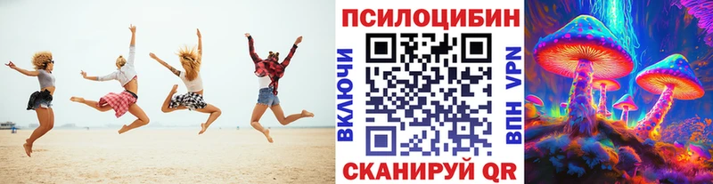 Галлюциногенные грибы Psilocybine cubensis  Купить  Плёс 